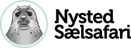 NYSTED SÆLSAFARI